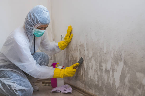 Mold Remediation for Rental Properties in Stanton, TX